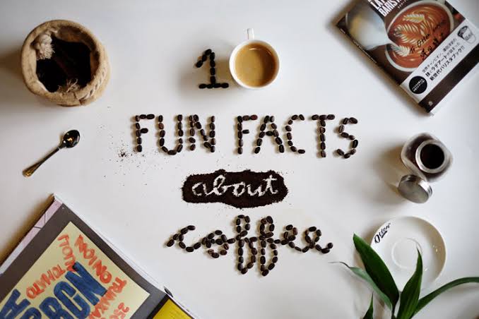 13 Fakta Menarik Tentang Kopi